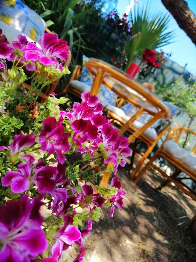 Bed and Breakfast Lumie Di Sicilia Porto Empedocle Exterior foto